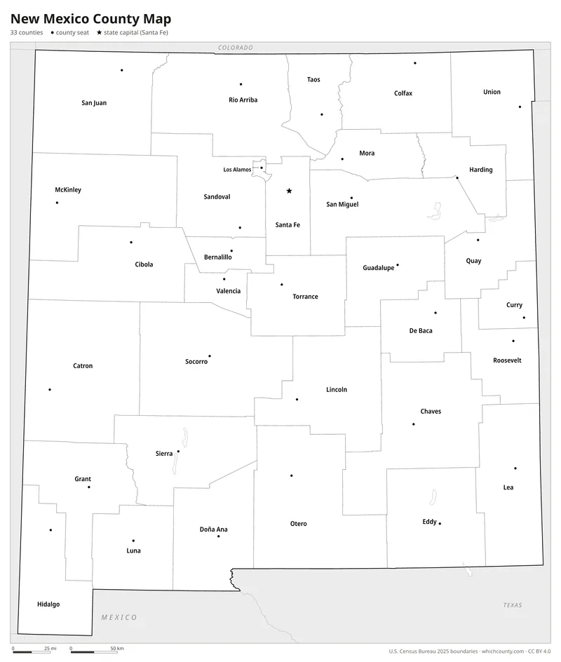 Black and white New Mexico county map
